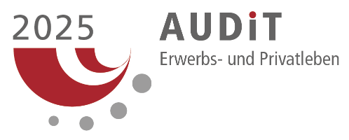 AUDiT - Erwerbs- und Privatleben 2025