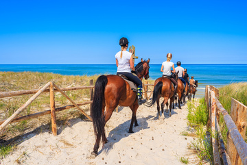 Reitausflug einer jungen Familie an der Ostseeküste